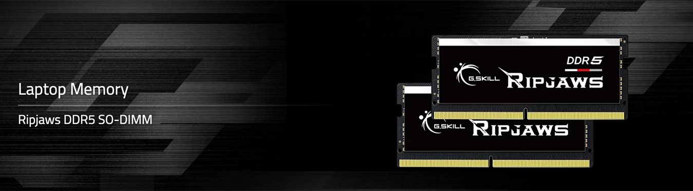 g skill ripjaws ddr5